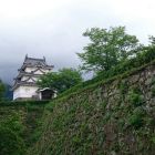 石垣とコラボで