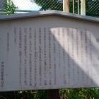 城山パネル