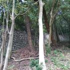 松山城登り石垣3