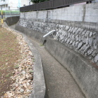 井伊氏居館の南西側堀跡の水路