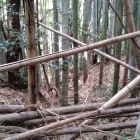 竪堀