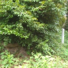 土塁と標柱
