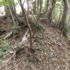 物見台