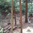 桝形虎口
