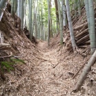 整備された登城路