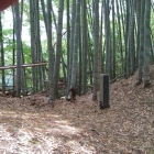 二の丸の堀切、指が写った。