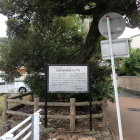椎の木と説明板