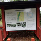 周辺案内