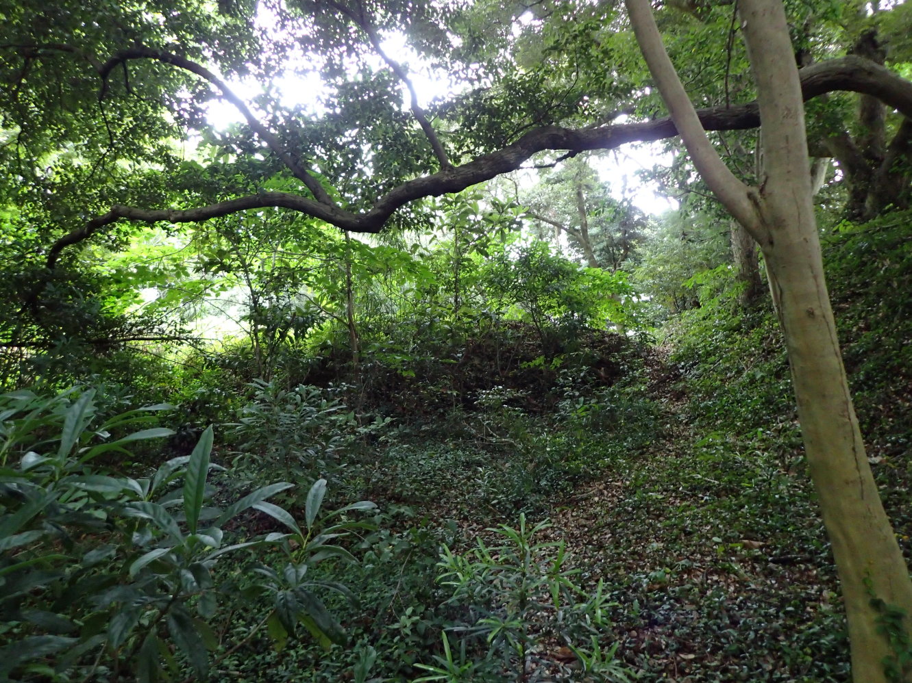 [宇津山城] 城びと