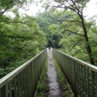 鈴岡城の出丸から松尾城へ行く橋