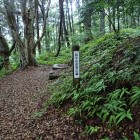 松平右京亮の墓
