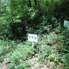 竪堀跡と土塁