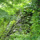 石垣