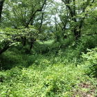 南西側の堀と土塁