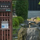 芹川清水