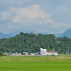 遠望