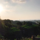 ここからの景色最高。