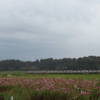古屋城
