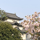 江戸城