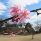 川崎城