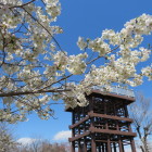 木原城