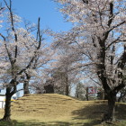 多賀谷城