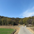 山中城