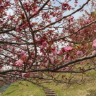 皆川城
