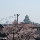 豊田城