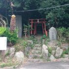 上野上村城全景