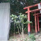 上野上村城碑