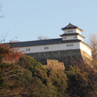 内堀越しに西の丸三重櫓を望む