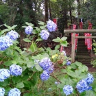 二郭には神社