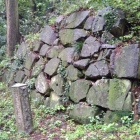 本丸の現存石垣