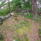 さらに登った尾根の途中の峰に築かれた本丸全景。小規模。