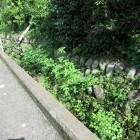 堀みたいな溝