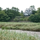 豊川の対岸から