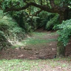 本丸横の堀