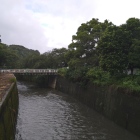 北側を流れる石神井川