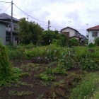 堀跡と思われる畑