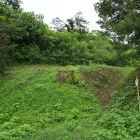 館跡北側