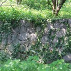 同左の続き東面の石垣、内堀沿い