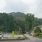東から
