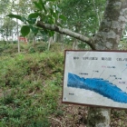 赤い鳥居が本郭方向