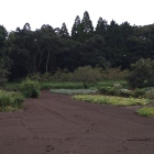 奥仲城
