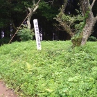 主郭土塁