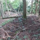 北東尾根からの敵を迎撃する塹壕状の堀