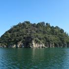 竹生島全景