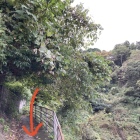 脱出