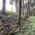 東側曲輪の土塁